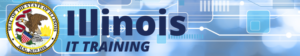 IT Training Illinois